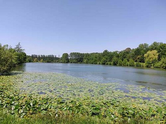 Barjouville - Étang