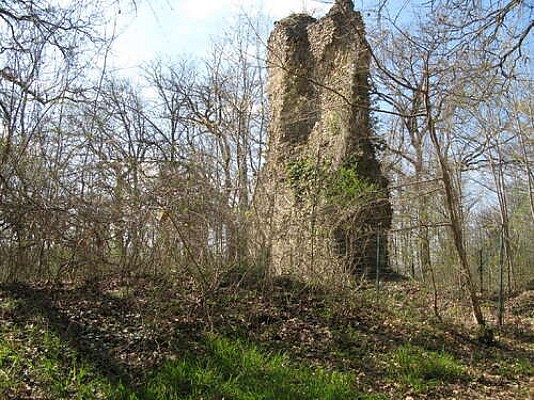Ruines du château de la Robertière