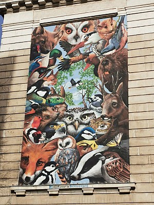 Lyon - Fresques et murs peints au sud-est