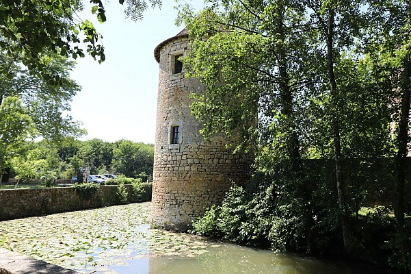 Abbaye_fortifiee_de_Nouaille-Maupertuis-Claire_COULARDEAU-2237