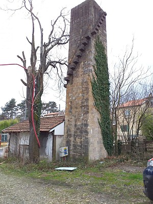 Vernaison - Les bords du Rhône (Rando douce)