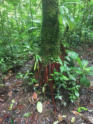 La trace de la rivière Quiock