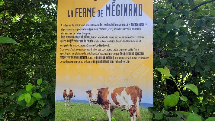 Plateau de Méginand