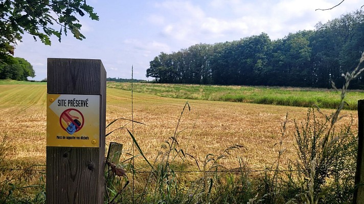 Plateau de Méginand