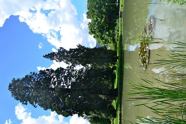 Parc de Triviers