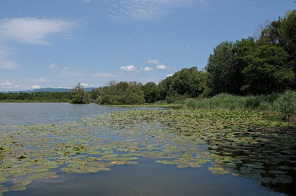 Espace Naturel Sensible de la Save - Secteur des Étangs de la Serre