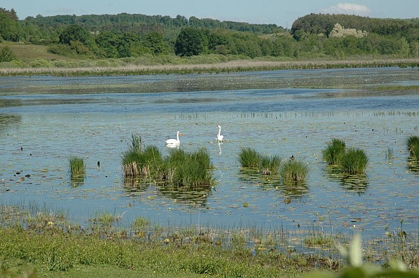 Étang de Salette