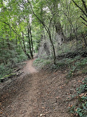 Le sentier botanique du vallon de Rochacardon