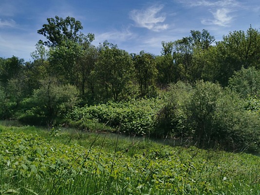Vernaison - Les bords du Rhône (Rando douce)