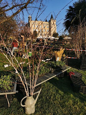 Foire des plantes rares de Saint-Priest