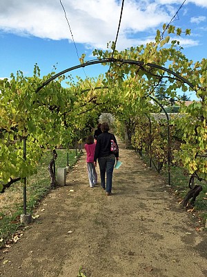 Domaine de Varagnes