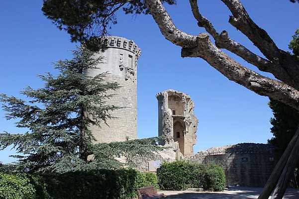 Forteresse des Comtes de Provence
