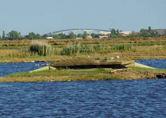 Saint-Laurent-de-la-Prée : la pointe de la Parpagnole