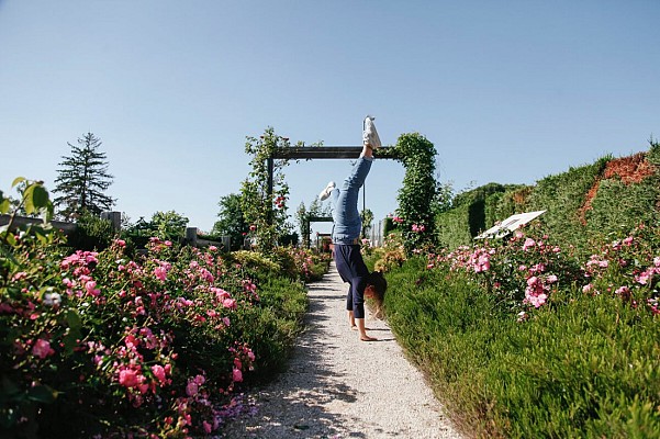 Village-jardin "De rose en rose"
