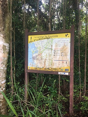 Forêt de POUZZOLE