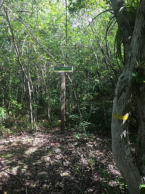 Forêt de POUZZOLE