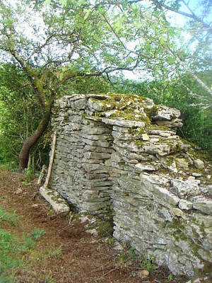 Capettes du Revermont
