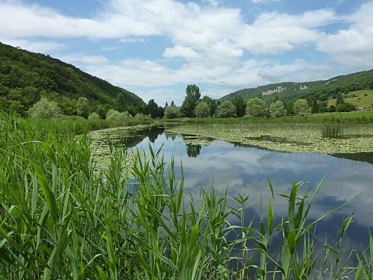 Le lac de Millieu et marais du Vernay, ENS de l'Ain