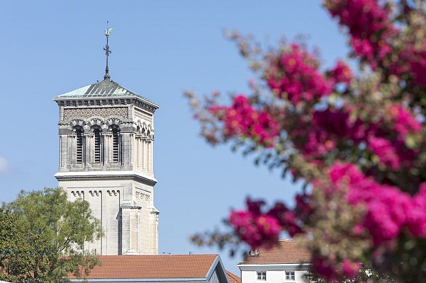 La Cathédrale Saint-Apollinaire