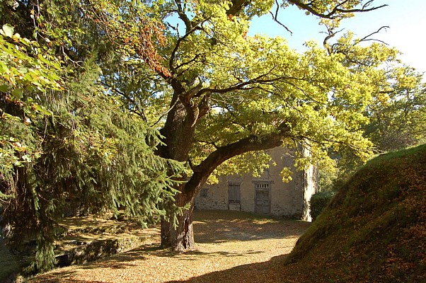 Saint-Victor