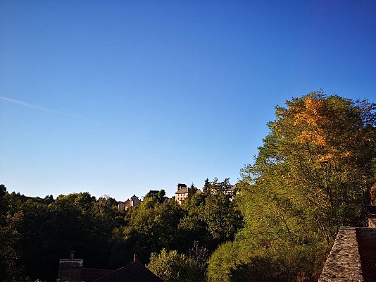 Roannes-Saint-Mary