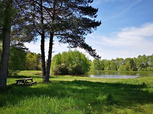 Saint-Saury