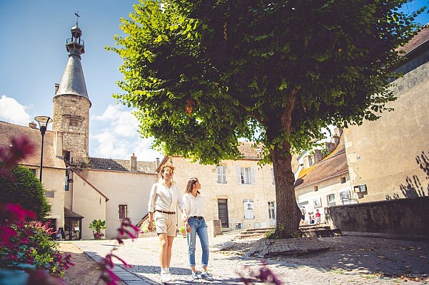 Saint-Pourçain, cité viticole