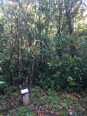 Sentier de Deville-Maisoncelle
