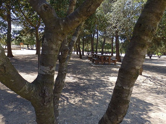 Grand Parc de Figuerolles - Paul Lombard