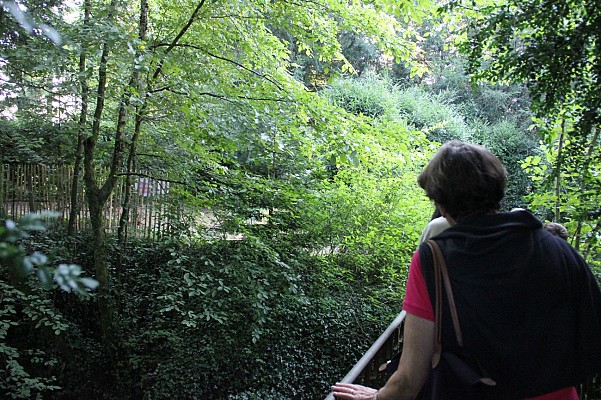 Parc Balland