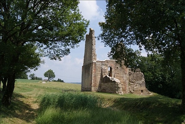 Château de Montfalcon