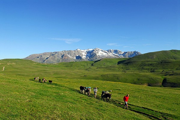 Lacs du Plateau d 'Emparis