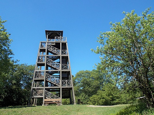 Propières - A l’assaut du Mont-Saint-Rigaud