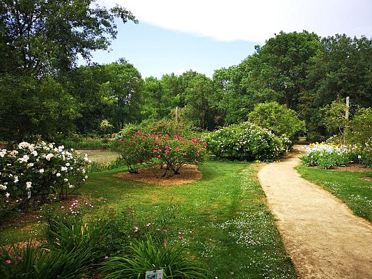 Roseraie Les Chemins de la Rose