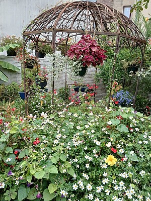 Jardin des Némusiens