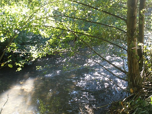 Villeneuve sur Bellot