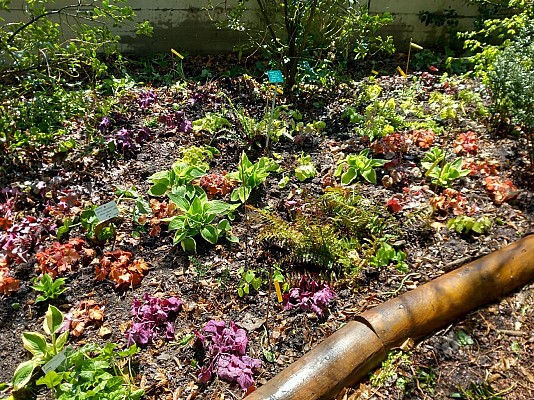 Jardin botanique de la Charme