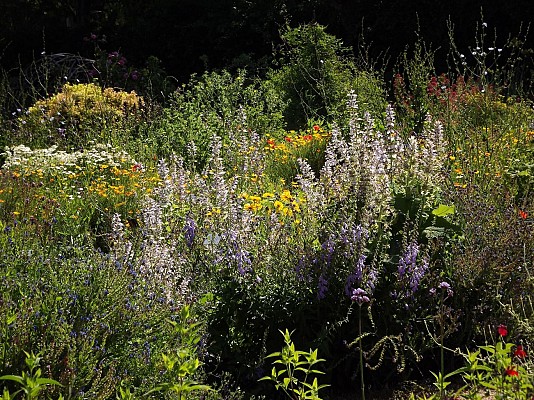 Jardin botanique de la Charme