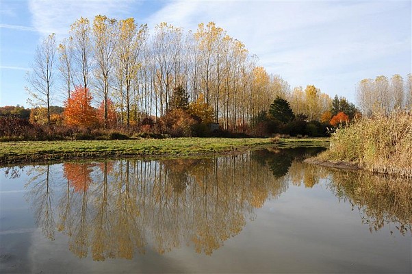 Marais de Lambre