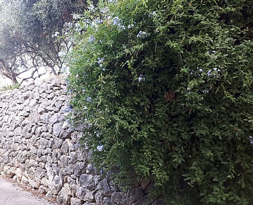 Traverse des Jardins
