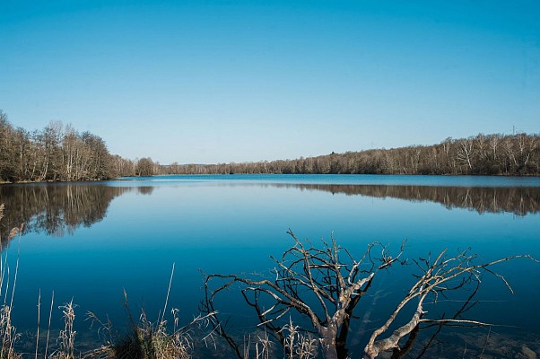 Espace Naturel Sensible de la Save - Secteur du lac de Save