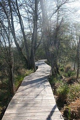 Espace Naturel Sensible de la Save - Secteur du lac de Save