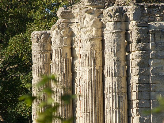 Vestiges du Château de Montceaux-les-Meaux