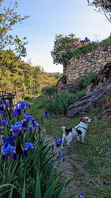 Les jardins du Marchidial