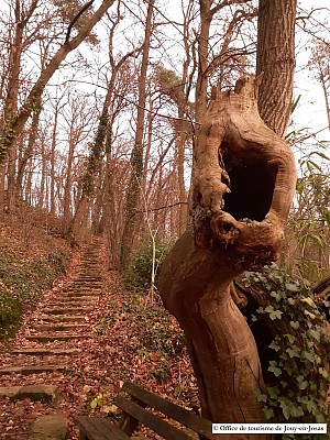 Parc de l'Églantine