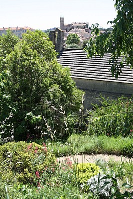 Jardin méditerranéen