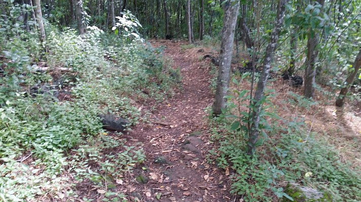 Pointe à Lézard / Machette