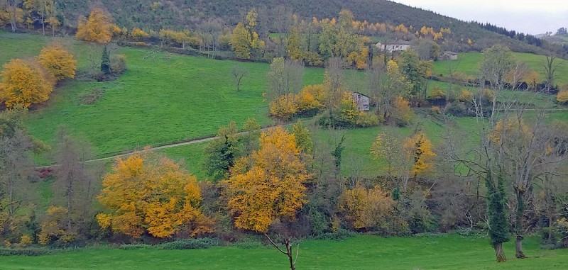 Les Sauvages - Jusqu'au Mont des Salles