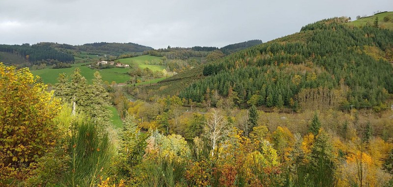Les Sauvages - Jusqu'au Mont des Salles