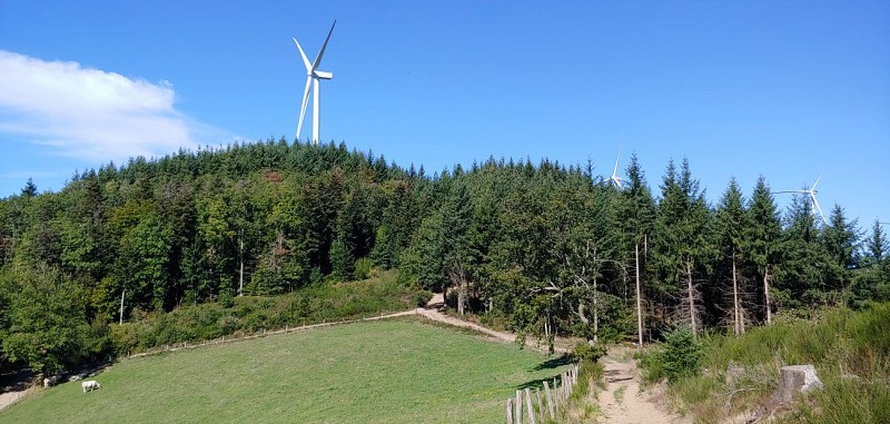 Valsonne - Circuit des éoliennes - sens horaire